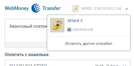 Оплата виртуального сервера через другие методы оплаты с помощью WebMoney