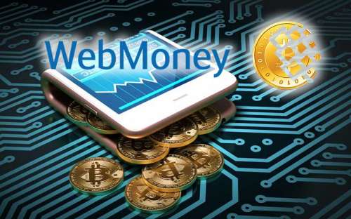 Bircoin server hosting